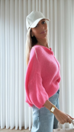 Brixe truitje roze