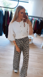Stacey truitje ecru