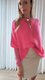 Brixe truitje roze