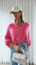 Brixe truitje roze