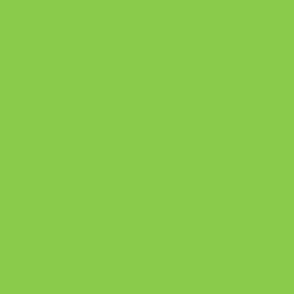 Ritrama vinyl mat 373 Light Green