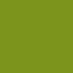 Poliflex Turbo 6995 Olive | 20x25