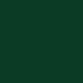 Ritrama vinyl glans 183 Forest Green