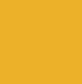 Siser PS Film A0114 Mustard