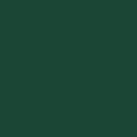 Oracal-631 060 Donker Groen