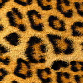 Siser EasyPatterns Wild