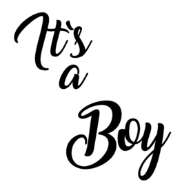 Geboortesticker | It`s a boy