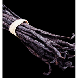 Dames parfum | BLACK ELIXIR - 15 ml.