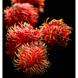 Dames parfum | LINET  - 15 ml.