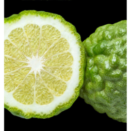 Dames parfum | LINET  - 15 ml.