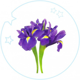 Dames parfum | KIDS  - 15 ml.