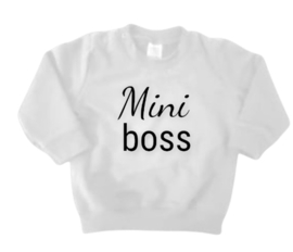 Sweater | mini boss