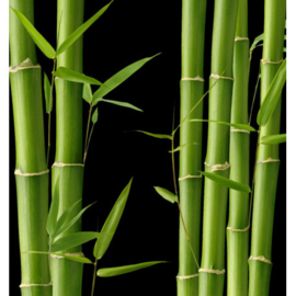 Dames parfum | KARA - 15 ml.