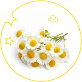 Dames parfum | KIDS  - 15 ml.