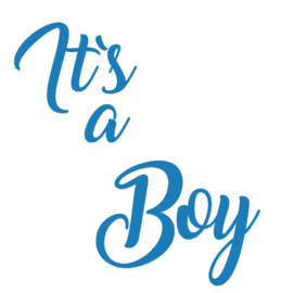 Geboortesticker | It`s a boy