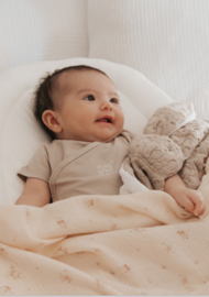 BABY BOUNCER  Alles in één | Co-sleeper, Wipstoeltje, Stoel