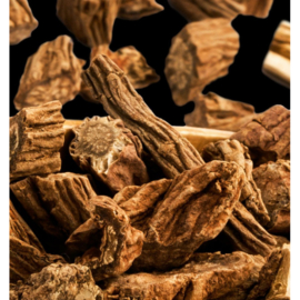 Dames parfum | TENDENZE- 15 ml.