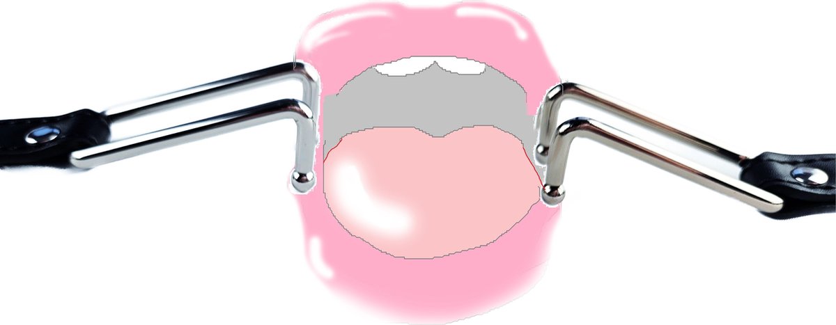 BNDGx® - Mond Gag Spreider Gag - Seks speeltje - Blowjob seks speeltje rond bal mond strap masker bdsm fetish