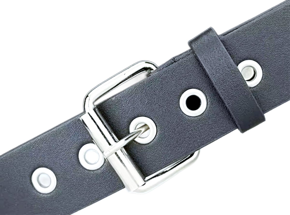 BamBella® - Riem Heup - 105cm maat S M L - verstelbare Belt Dames heupriem taille steentjes roze Skull goth broekriem