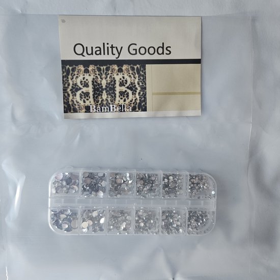 BamBella® Zilver - Steentjes in doos - Rhinestones set tools set steentjes plak glitter steen doosje Nail art knutselen naaien