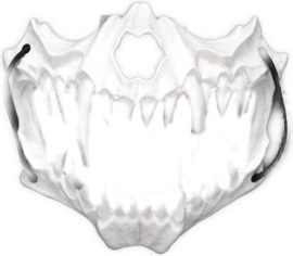 BamBella ® - Halloween Masker Skull verkleden feest festival carnaval makers