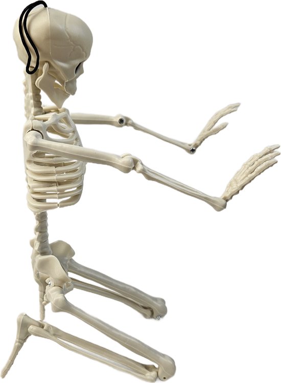 Skull beweegbare pop poppetje skelet 39cm decoratie halloween horror