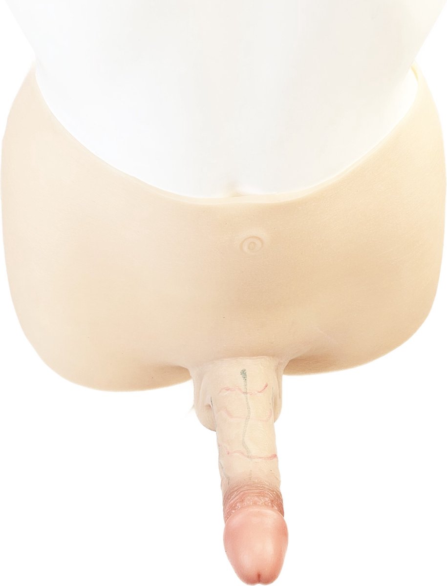 BNDGx® - Realistische Nep kunst penis broek pak - grote dildo sex onderbroek -siliconen pak bodysuit