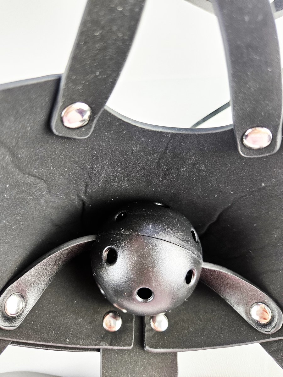 BNDGx® - Extreme BDSM Masker - Nep Leer - Met Gag - SM - Met lijn