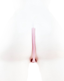 BamBella ® - Slip Strapless met veertjes - Onesize - Ondergoed zonder bandjes - String zonder touw