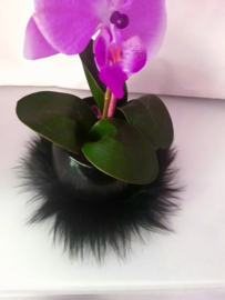Marabou van bont  Zwart 1 meter decoratie fournituren Sierband