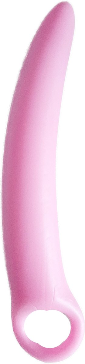 BNDGx® - Dildo Anaal voor beginners sex toys speeltjes voor koppels Anaal