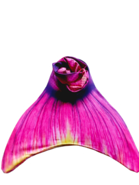Zeemeermin staart Pink Breeze