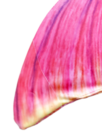 Zeemeermin staart Pink Breeze