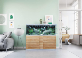 Oase Highline 600 Optiwhite aquarium