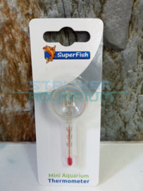 Mini thermometer