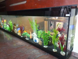 Maatwerk aquarium afgewerkt met Lacobel (gekleurd glas)