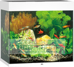 Juwel aquarium Lido 120 LED