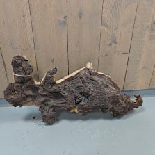 Groot en zwaar stuk Mopani hout 008