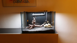 Rimless aquarium