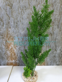 Decoratie aquaplant  X-large 30cm