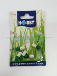 Hobby planaria bait