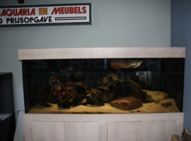 Massief eiken houten aquariummeubelen