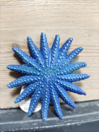 Decoratie zeester blauw 9cm