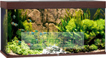 Juwel aquarium Rio 350 LED