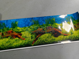 Aquarium achterwand poster plant motief 2 zijdes bedrukt 30cm hoog