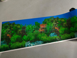 Aquarium achterwand poster plant motief 2 zijdes bedrukt 30cm hoog