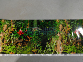 Aquarium/ terrarium achterwand poster bestellen 30cm jungle/woestijn