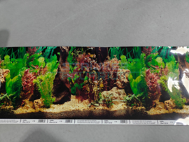 Aquarium achterwand poster 30cm hoog  2 zijdes bedrukt