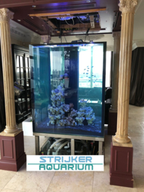 Aquarium ter plaatste gebouwd 125x125x150 gelaagd glas