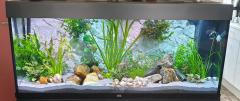 Juwel aquarium Rio 240 LED